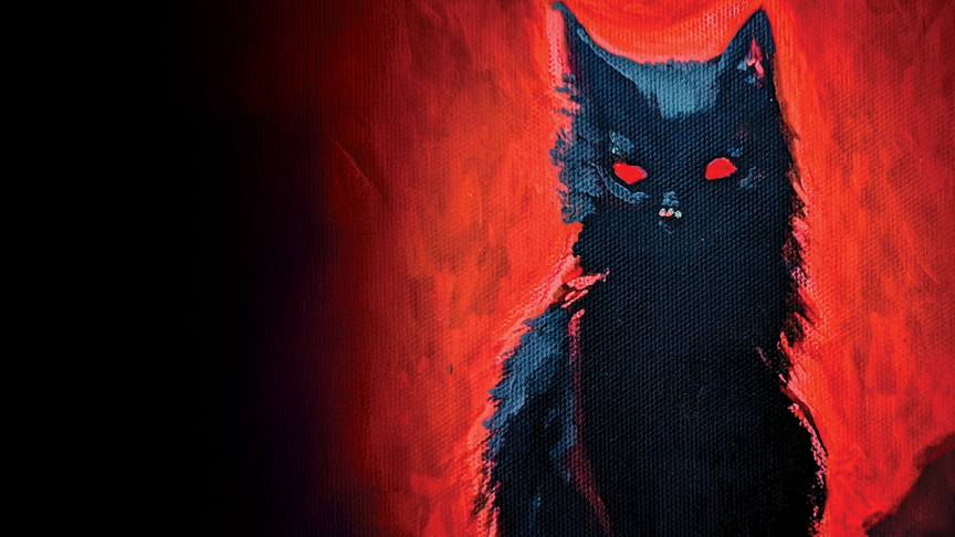 9 Lives No. 1