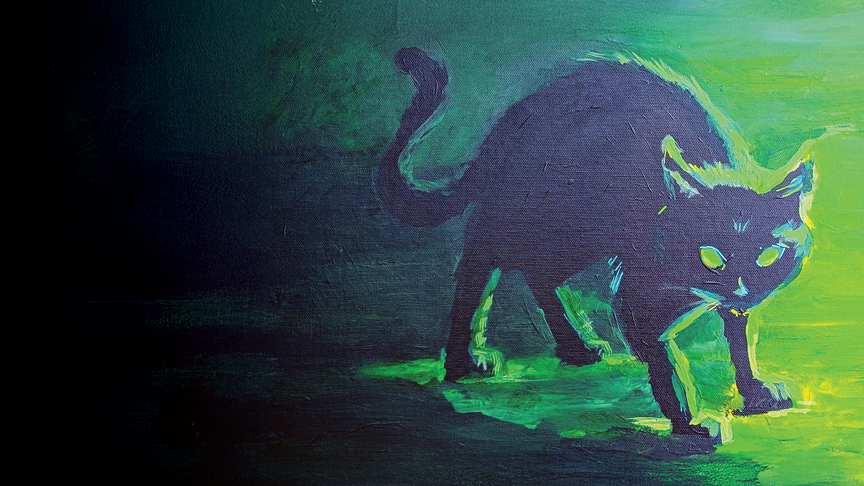 9 Lives No. 8