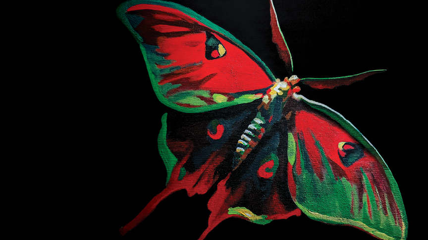Moth No. 1