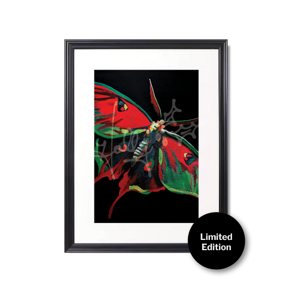 "Moth No. 1" Limited Edition Framed Print